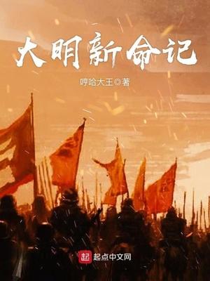 大明新皇txt