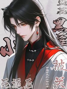 盗墓死当区是干什么