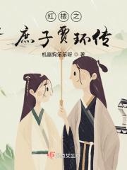 红楼之庶长子贾琰