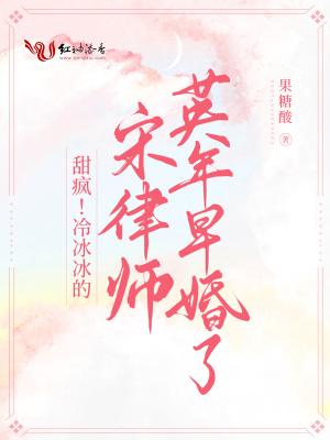 宋律师的心尖宠作者;沐妤不鱼