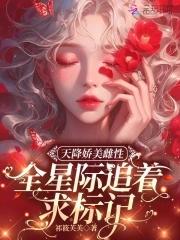 天降娇妻免费阅读全文
