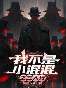 我可不是小混混文轩