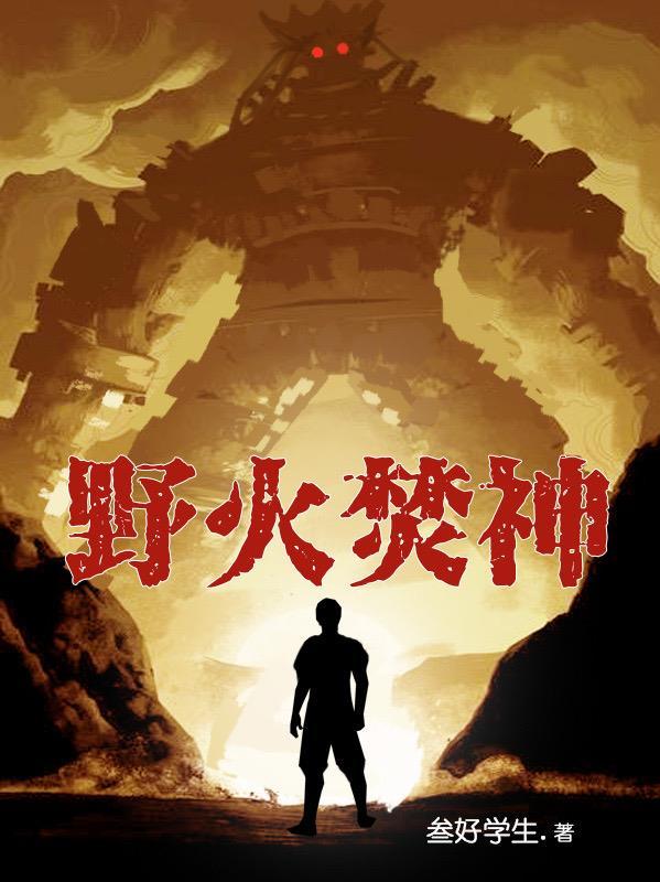 野火ns