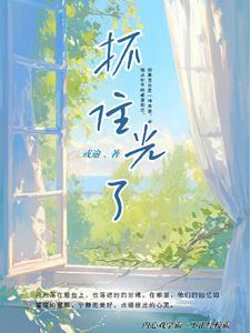 想要抓住光的句子