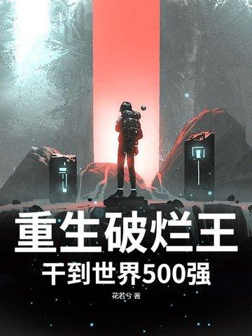 重生农村破烂王