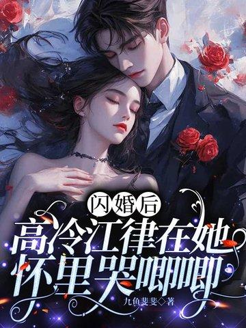 闪婚高冷老公