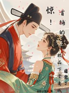 首辅是个美娘子全文免费阅读