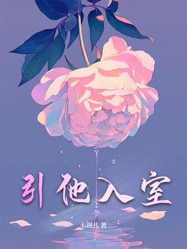 引他入室全集