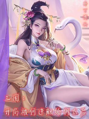 三国开局救了何皇后飞卢