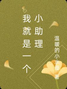 我只是个助理