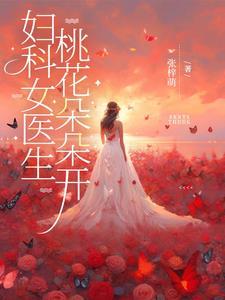 主人公是妇科医生的