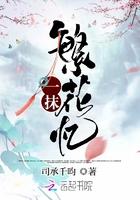 一抹繁花忆讲的什么
