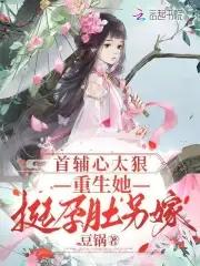 首辅重妻录