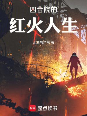 四合院的红火人生防盗