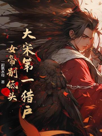 大宋第一女将电视剧