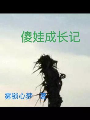 傻娃儿什么意思