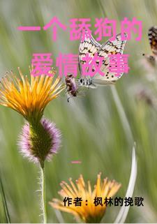 舔狗在爱情中是什么意思呀