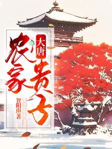 穿越农家大孙子科举