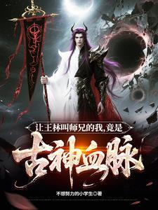有关大师王林的