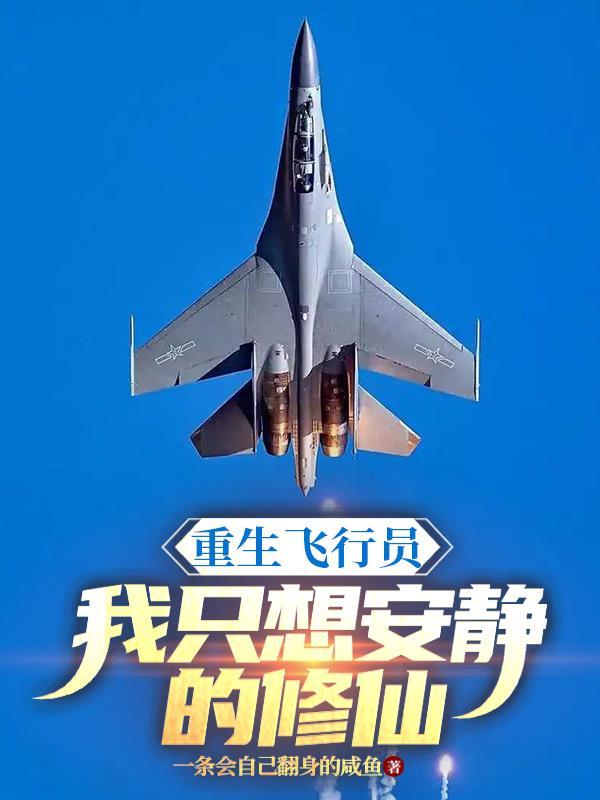 重生空军飞行员