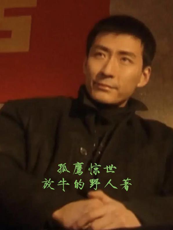 电视剧孤鹰