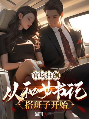 都市女书记升迁记