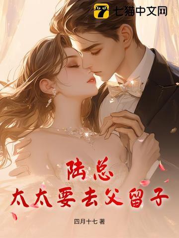 陆太太要个二胎吧免费阅读