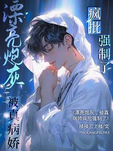 漂亮炮灰攻是谁