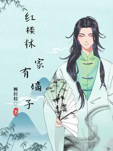 红楼之林家有嫡子全文阅读