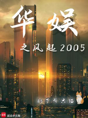 华娱之风起2005笔趣