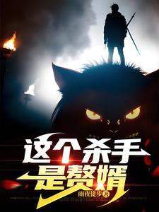 这个杀手是赘婿江浩在线阅读
