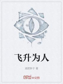 飞升以后百科