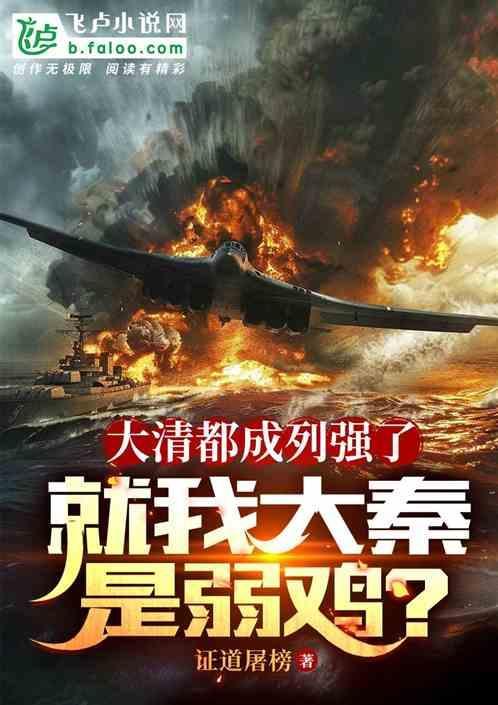 大清和大秦相比