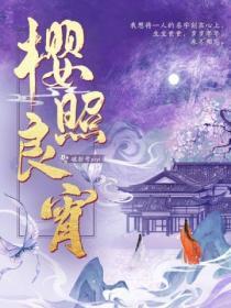 樱照良宵贺兰宵笔趣阁