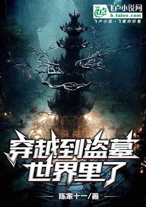 穿越盗墓世界的特别的身份