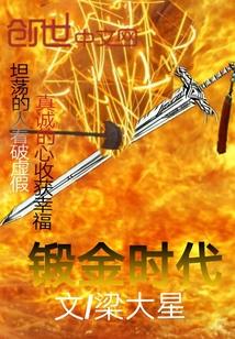 美国掏金时代