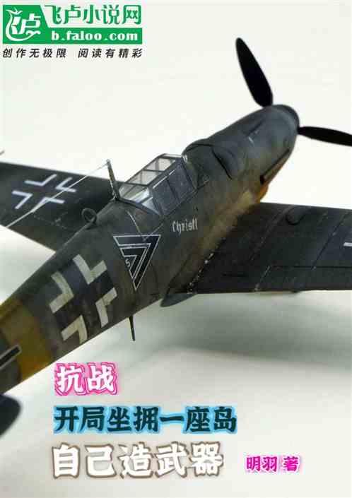 抗战开局一座武备岛