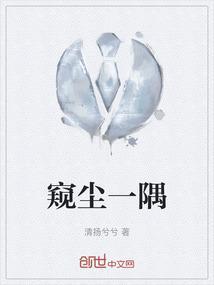 窥其一隅