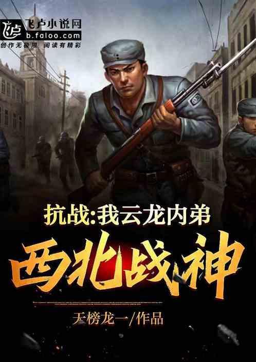抗日西北军