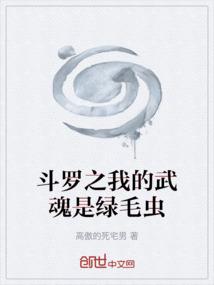 斗罗之我的武魂是魂环介绍