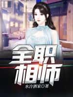 全职相师完整版