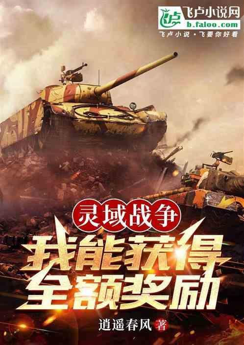 灵域网评