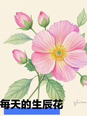 生辰花的传说