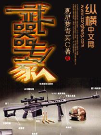 武器专家2 飞刀