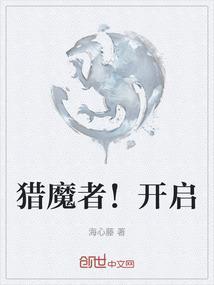 猎魔者配装