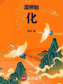 湿卵胎化境界划分与等级详解