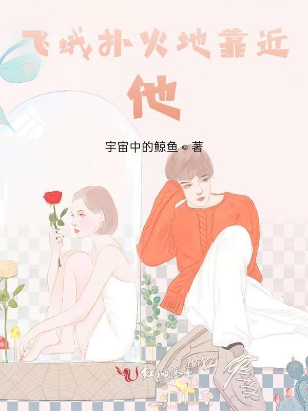 歌词飞蛾扑向火的歌名