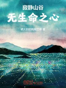 寂静的山谷音乐