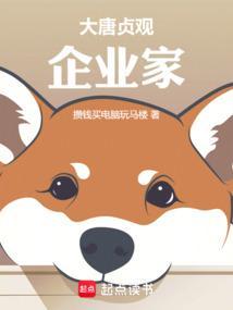 大唐贞观历史