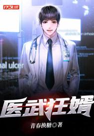 医武狂婿徐风